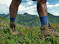 Kmalu planinske vasi tudi na Bavarskem?