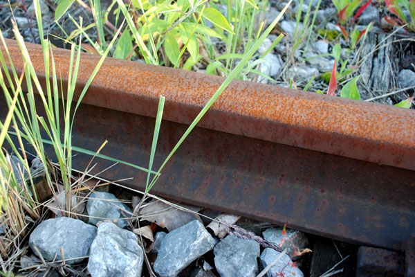 Akcijski dnevi za ohranitev pozabljenih regionalnih železniških prog