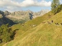 Alpska sezona na Unescovem seznamu nesnovne kulturne dediščine