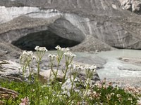 Glasovi in mnenja vzdolž pohodniške poti Via Alpina