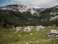 Informativni dnevi v praksi: več kot 40 mladih je izkusilo poklice podeželja