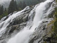 Katere storitve zagotavlja narava?