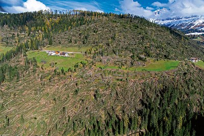 Ko ekosistemi izgubijo ravnovesje