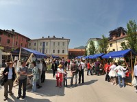 Ko mestna miš sreča podeželsko: povezani smo močnejši