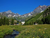 Male pobude, a velik učinek