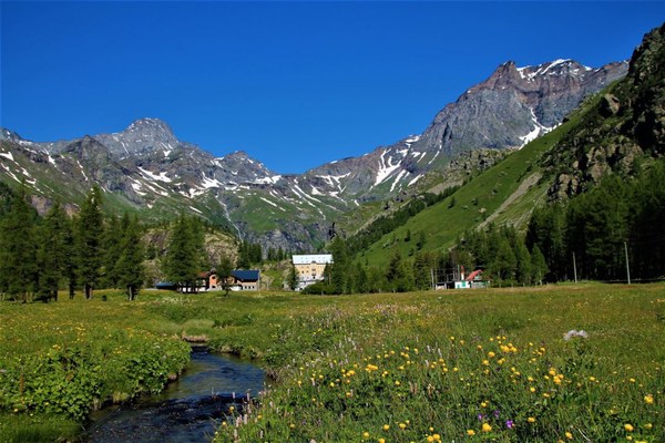 Male pobude, a velik učinek