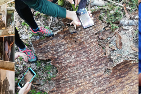 MODEL ALPSKE ŠOLE V IZOBRAŽEVANJU ODRASLIH –  IZZIVI UPRAVLJANJA V ČASU PODNEBNIH SPREMEMB