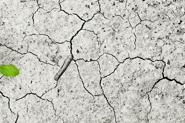 [Napoved] Mednarodni raziskovalni študentski tabor - Mikrofon podnebju: znanje in kompetence za komuniciranje podnebnih sprememb