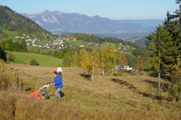 Naravna raznovrstnost kot skupno dobro