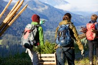 Podnebna kriza: Rešitve iz narave