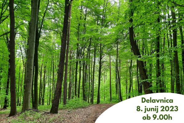 Prenos bogastev Jelovice: Delavnica turizma v goznem prostoru