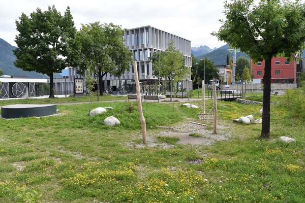Tri leta ekološkega saniranja tal tla: zaključna bilanca projekta Ground:breaking