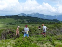 Udeležba državljanov pri preprečevanju pozidave zemljišč