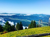 Vabilo na planinski izlet na Kriško goro