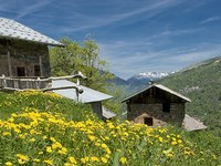 Varstvo narave v službi človeka