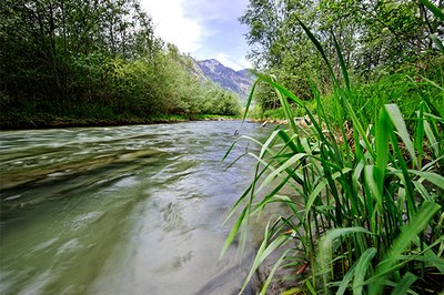Za renaturacijo Rena teče naslednji krog