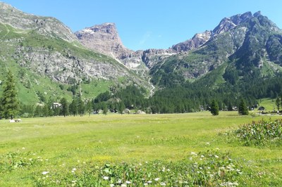 Zaščitena območja v Alpah in podnebne spremembe