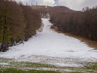 Zima brez snega – kako naprej?
