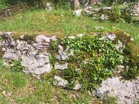 Kup kamenja ali pomembna dediščina: spletni posvet o dediščini suhozidne gradnje