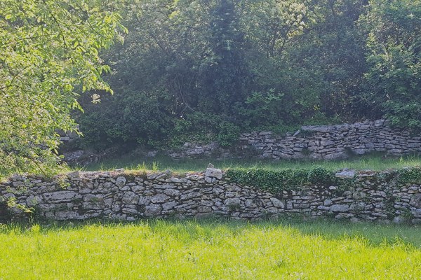 KamenGor: oživljanje dediščine suhozidov Goriške