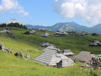 Partnerstvo za Veliko planino