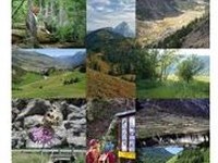 Platforma za ekološko omrežje