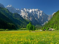 Varstvo in razvoj krajine