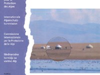 Cipra-Info 67: Alpe se ozirajo prek svojih meja