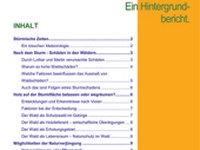 Stürmische Zeiten im Bergwald (Čas viharjev v gorskih gozdovih). Osnovni dokument