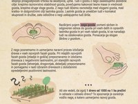 GozdNega: Infografike