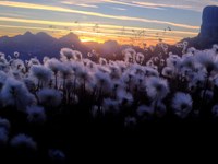 Vodenje obiskovalk in obiskovalcev v alpskem prostoru