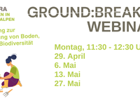 Webinarserie «Ground:Breaking»