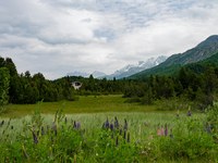 Workshop: Schutz und Wiederherstellung von Alpenmooren